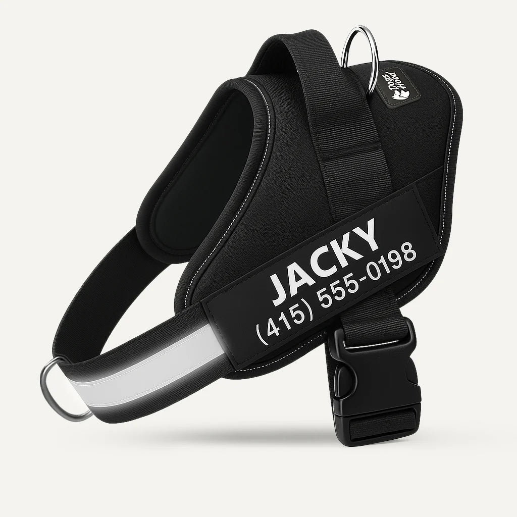 VeraNove™ No Pull Harness