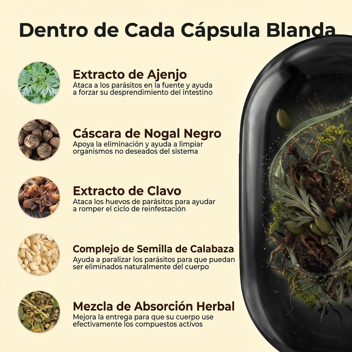 Elimina parásitos y larvas ocultos en solo 14 días con ajenjo nuez negra clavo