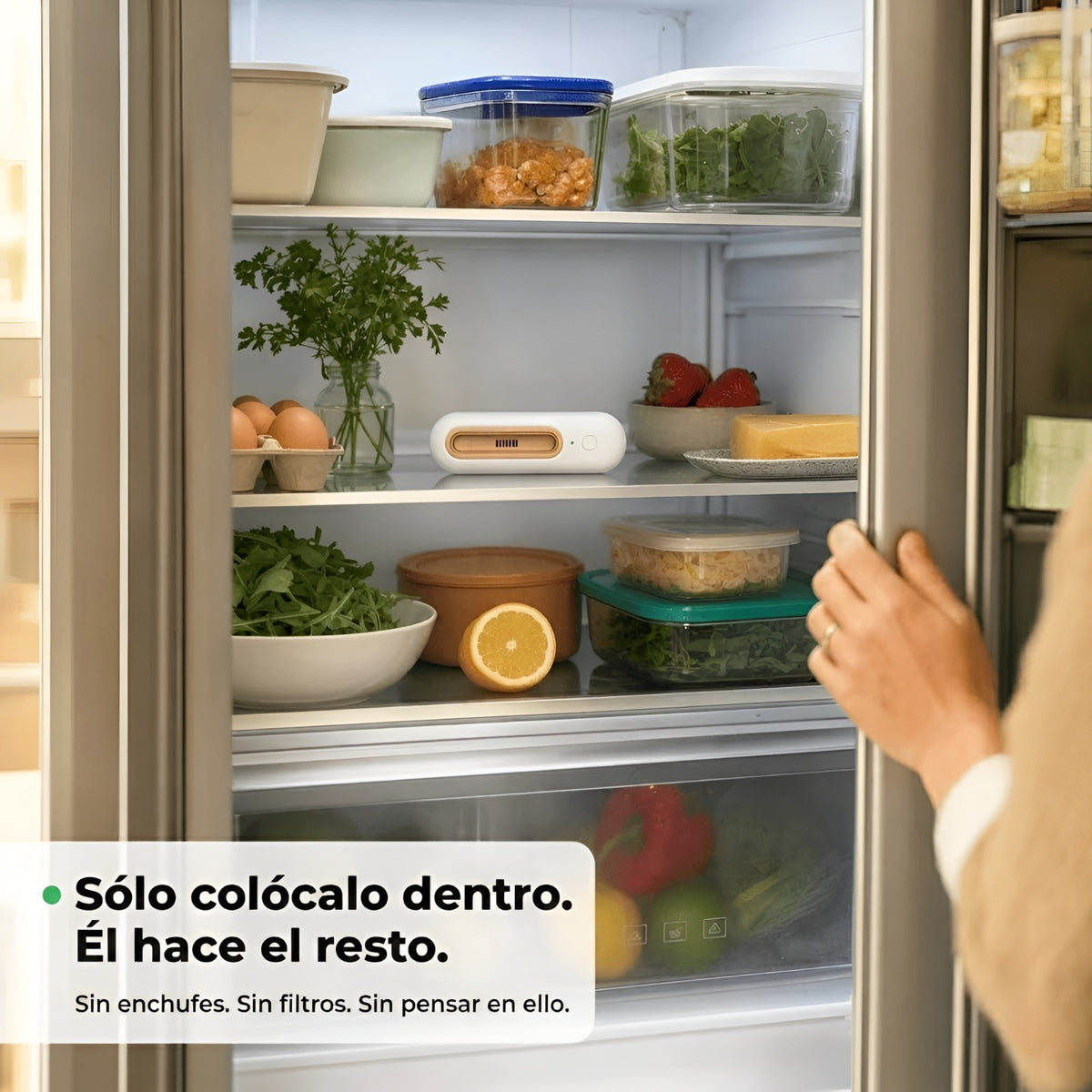 veranove™ Mantiene los alimentos frescos 4 veces más tiempo y reduce drásticamente tu factura del supermercado.