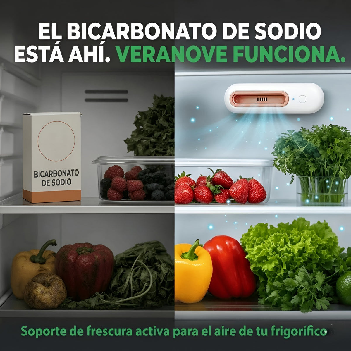 veranove™ Mantiene los alimentos frescos 4 veces más tiempo y reduce drásticamente tu factura del supermercado.